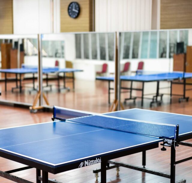 Gelanggang Ping Pong
